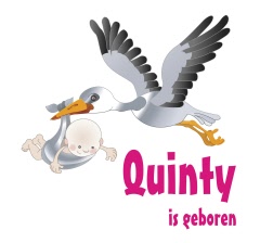 geboortesticker quinty